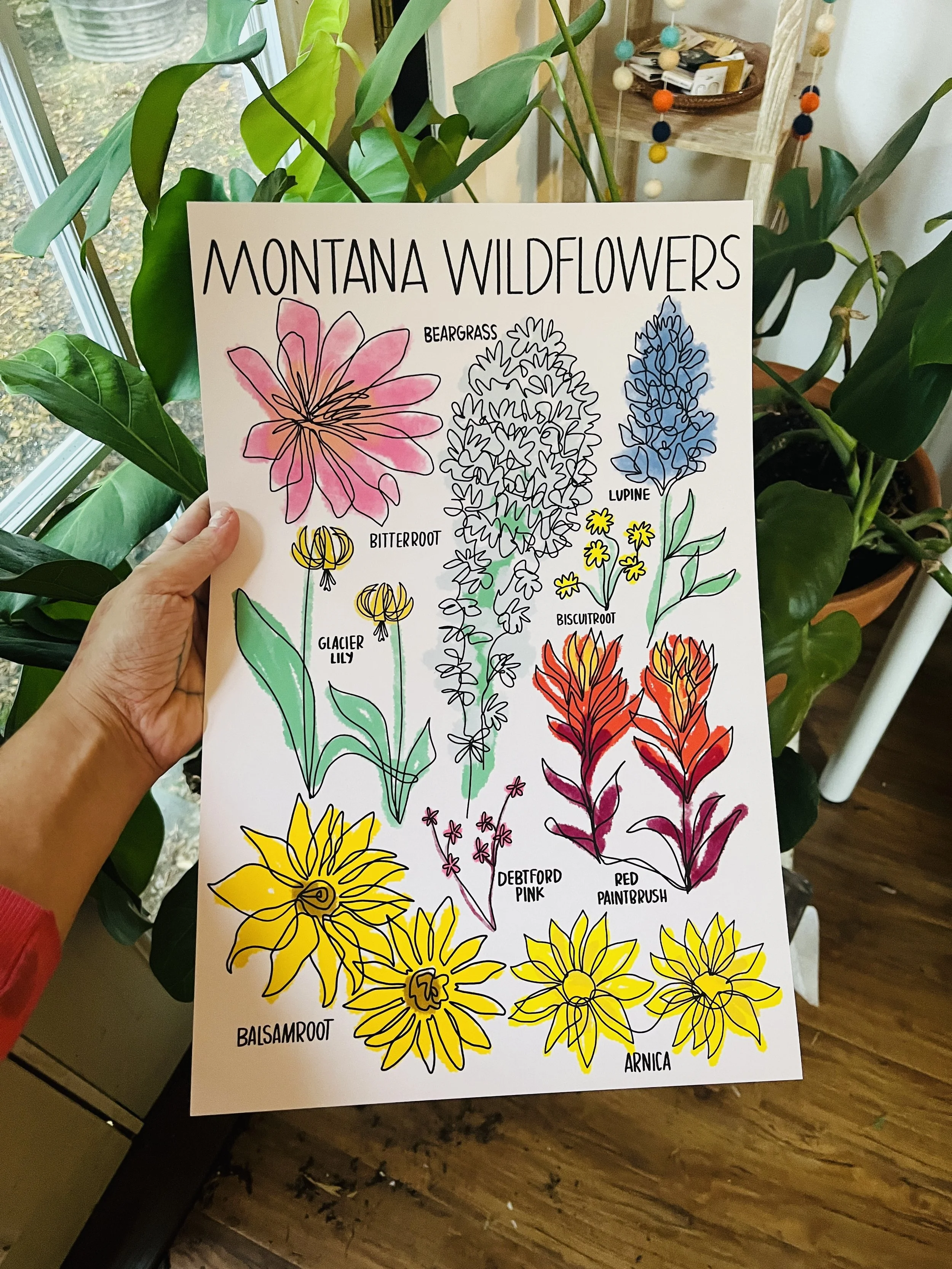Montana Wildflowers — Mercedes Tabish